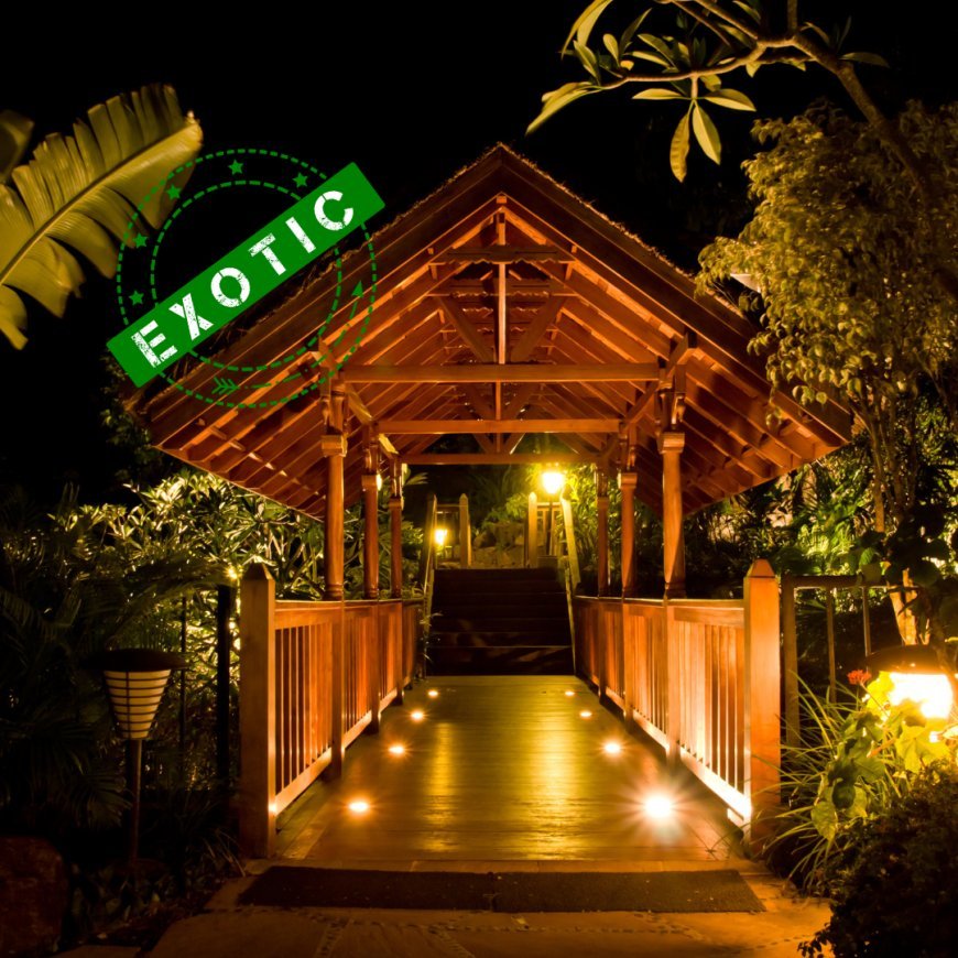 Exotic Nature Getaways You Need to Visit: Where Adventure Meets Tranquility