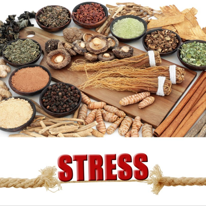 Harnessing Nature’s Resilience: The Power of Adaptogens for Stress Relief