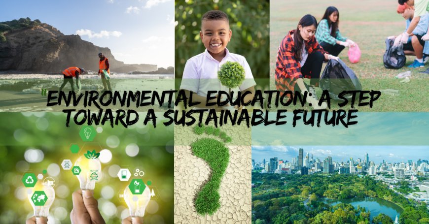 The Importance of Environmental Education